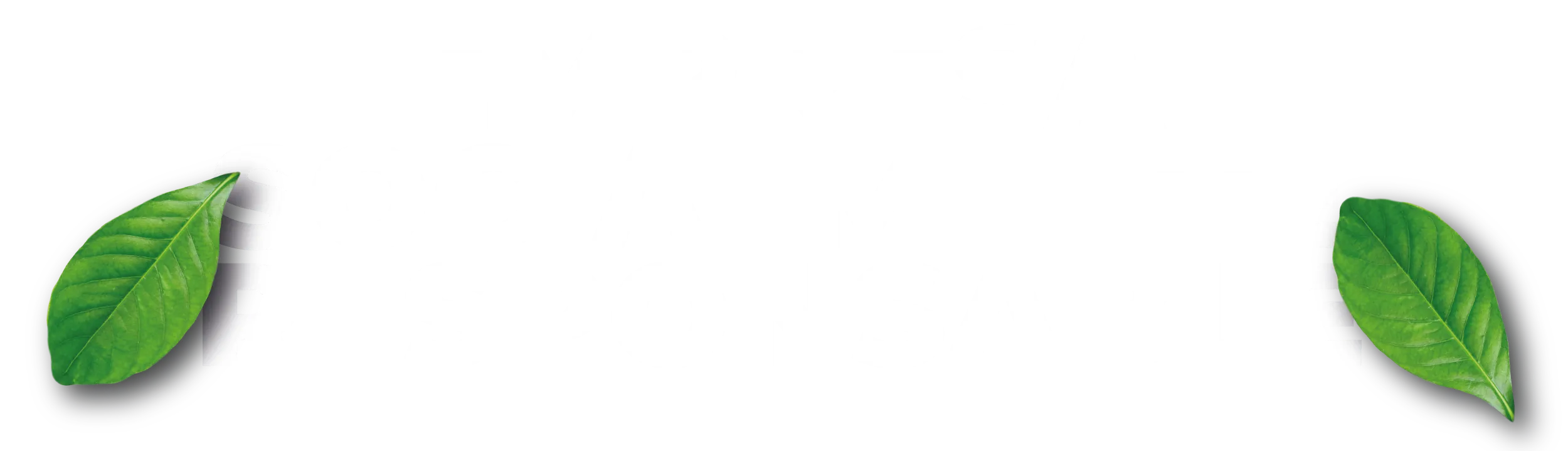 img2